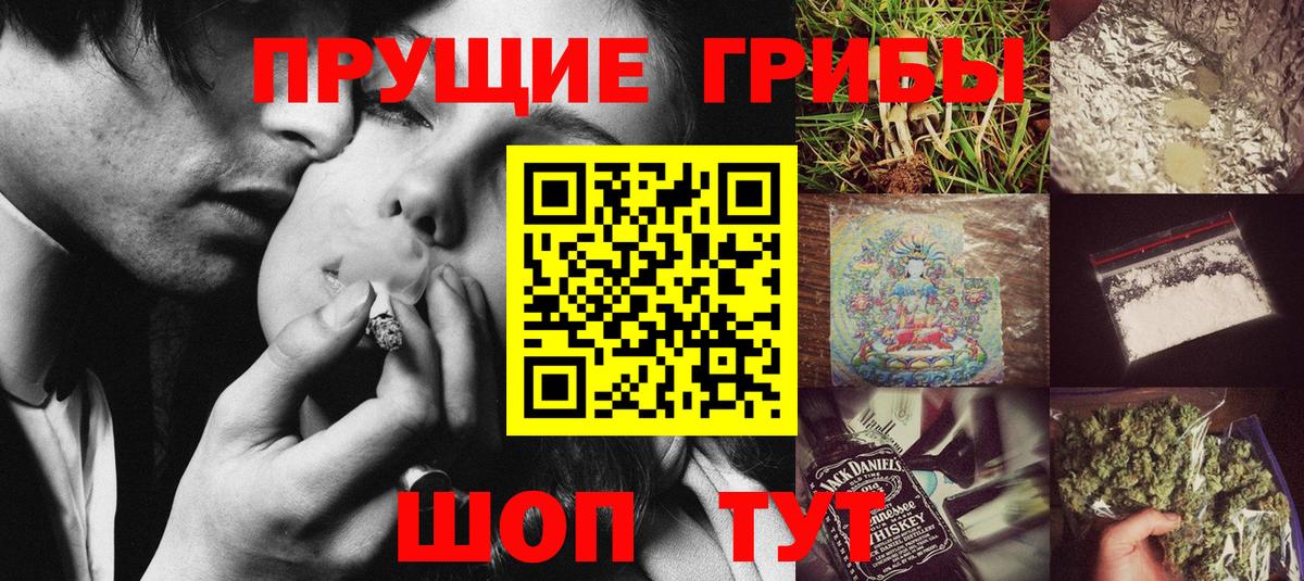 Галлюциногенные грибы Psilocybine cubensis Чистополь