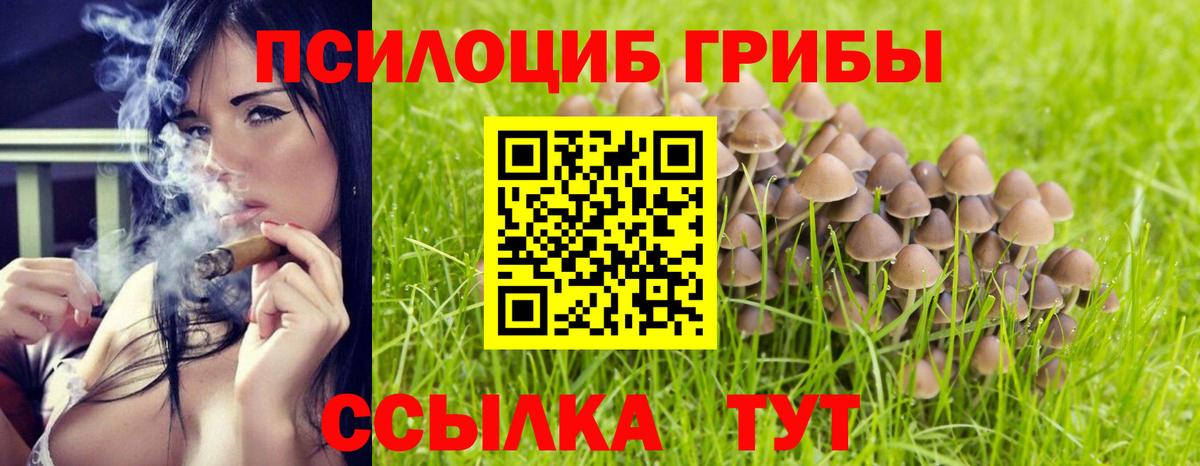 Галлюциногенные грибы Psilocybine cubensis  Вход с VPN  Чистополь 